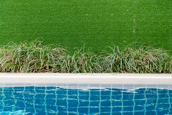 Green Grass Field
