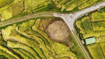 Green Grass Field