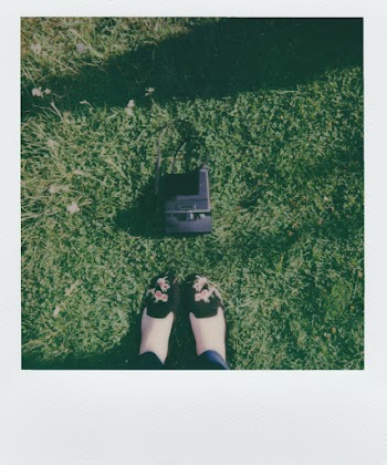 Green Grass Field