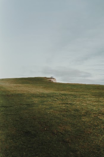 Green Grass Field
