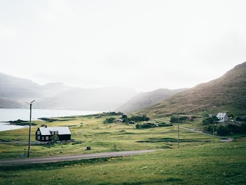 Green Grass Field
