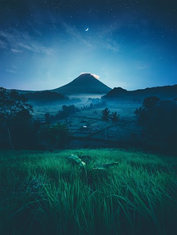 Green Grass Field