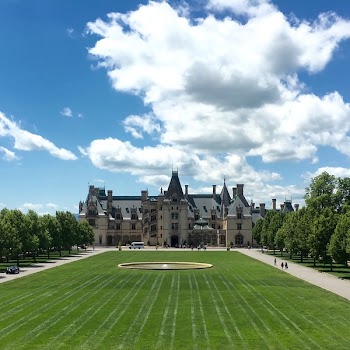 Green Grass Field and Castle