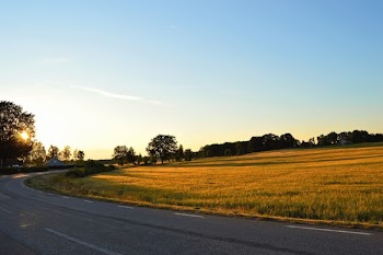 Green Grass Field Beside Asphalt Road