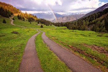 Green Grass Field Beside Pathway