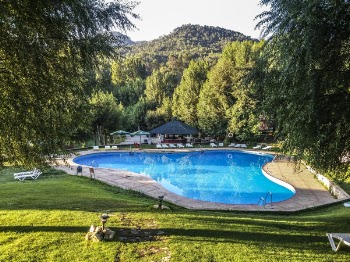 Green Grass Field Beside Swimming Pool during Daytime