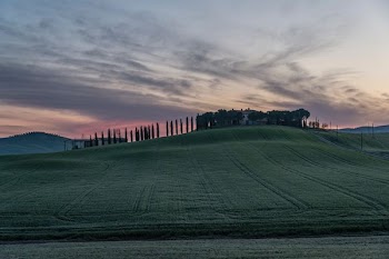 green grass field during golden hour landscape photograph
