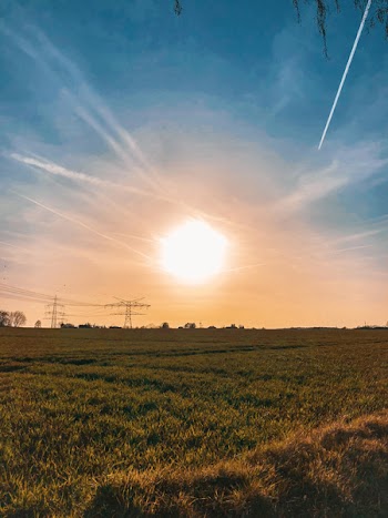 Green Grass Field during Sunset