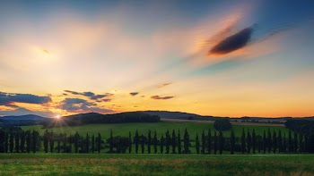 Green Grass Field during Sunset