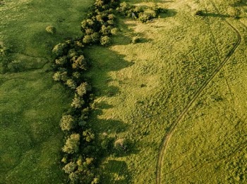 Green Grass Field · Free Stock Photo