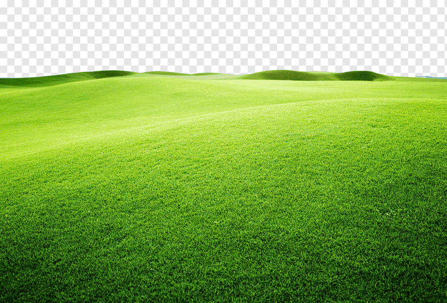 green grass field graphy, Artificial turf Sports venue Green Grassland Grasses, Yellow green vibrant plane, sport, computer, environmental png
