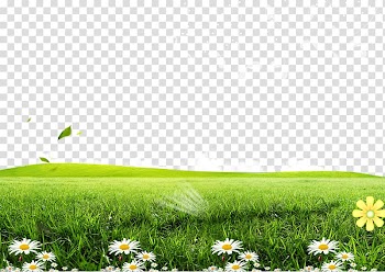 Green grass field, Green Lawn Poster , Posters flowers grass background transparent background PNG clipart