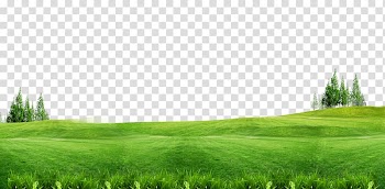 Green grass field, Lawn Gratis , Green grass background free of material transparent background PNG clipart