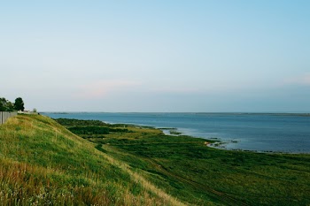 Green Grass Field Near Body of Water