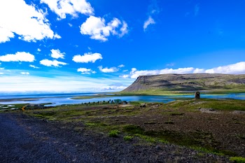 Green Grass Field Near Body of Water