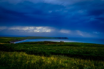 Green Grass Field Near Body of Water