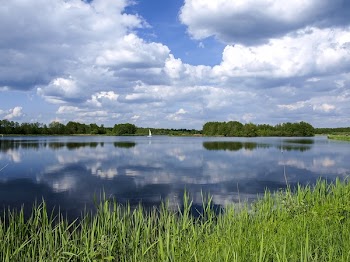 Green Grass Field Near Body of Water