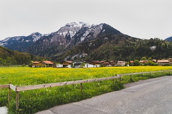 Green Grass Field Near Houses and Mountain