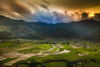 Green Grass Field Near Mountain