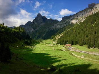 Green Grass Field Near Mountain Under Gray and White Sky at Day