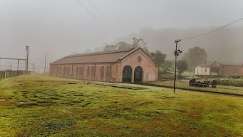 Green Grass Field Near Structure