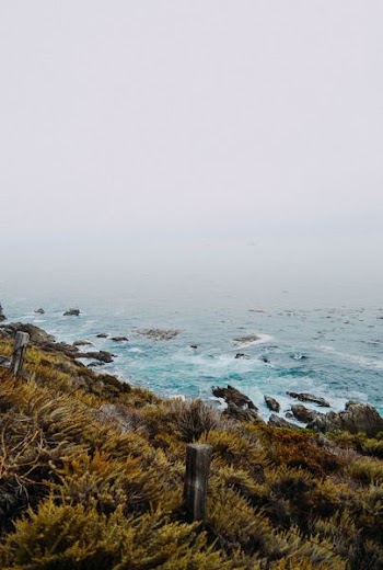 green grass field on edge of ocean