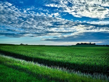 Green Grass Field Under Blue and White Sky