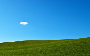 green grass field under blue sky