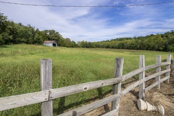 Green Grass Field Under Blue Sky