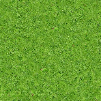 Green grass field, Vegetation Lawn Grassland Green, Carpet transparent background PNG clipart
