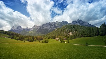 Green Grass Field With Trees and Mountain in Background Under Cloudy Sky