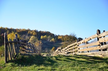 green grass field with wooden fence