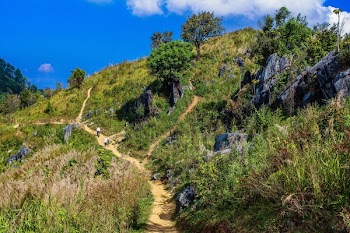 Green Grass Filled Hill Under Blue Sky