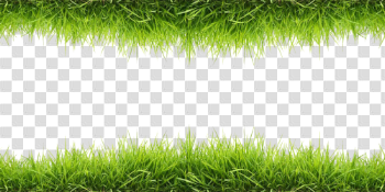 Green Grass Free PNG Image