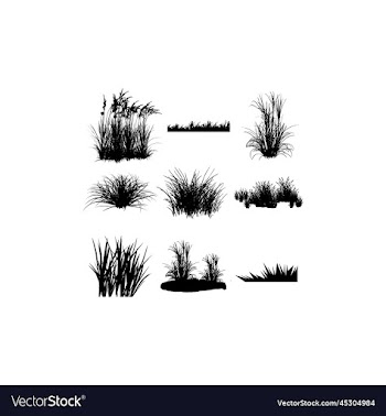 green grass fresh creative design