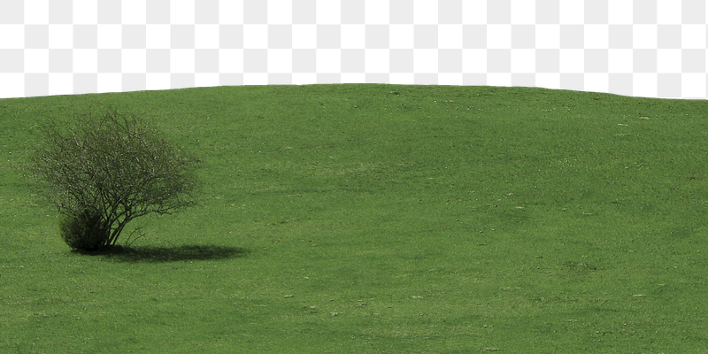 Green grass hill  png | Free PNG - rawpixel