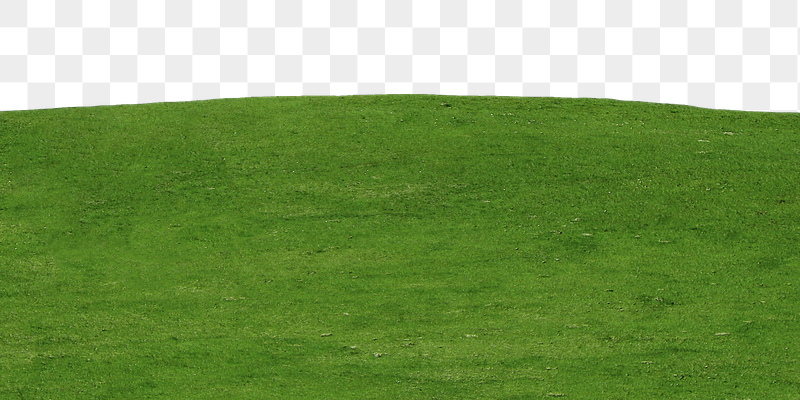 Green grass hill  png | Free PNG - rawpixel