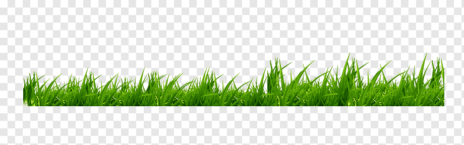 green grass, Icon, grass, text, cartoon Grass, grass png