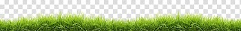 Green grass illustration, Small Line Of Grass transparent background PNG clipart