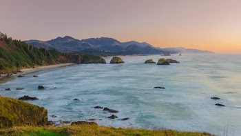 green grass in front of calm body of water during golden hour