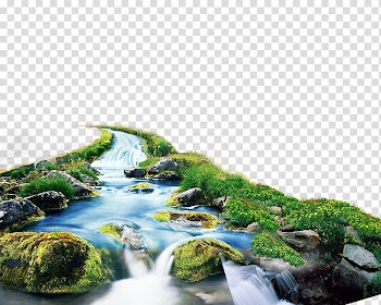 Green grass near river illustration, Shulin District Forest, forest transparent background PNG clipart