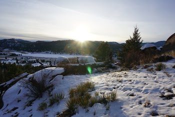 Green Grass on Mountain Covered by Snow