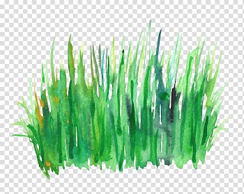 Green grass painting, Green Watercolor painting, Watercolor grass transparent background PNG clipart