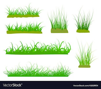 green grass set isolated on white background