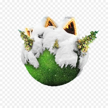 green grass tree plant fir