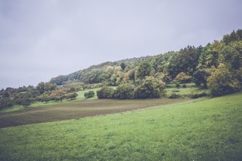 Green Grass Under Grey Clouds during Daytime