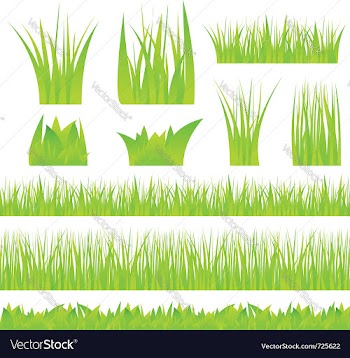  					Green grass vector&nbsp;image														