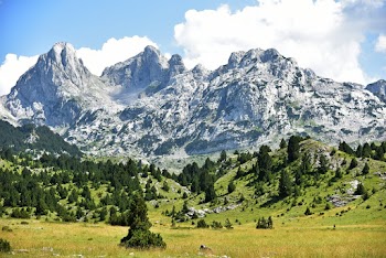 Green Grassland Across White Mountain