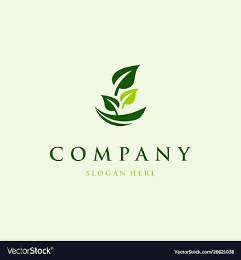 Green growth leaf logo design vector image