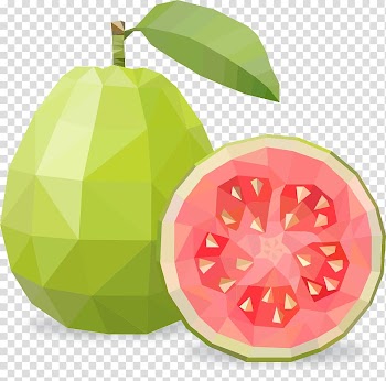 Green guava fruit , Guava Fruit , guava transparent background PNG clipart